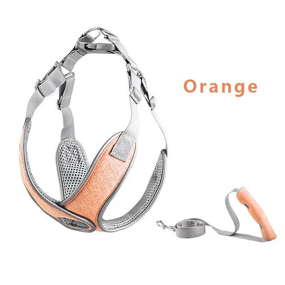 ComfortFit Pro™ – Justerbar & Ventilerande Hundsele