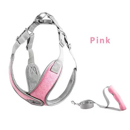 ComfortFit Pro™ – Justerbar & Ventilerande Hundsele