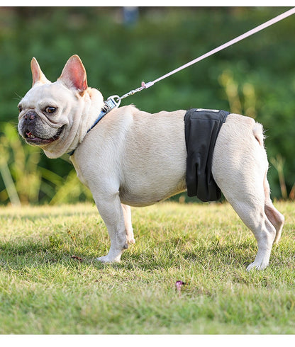 Hanhundsblöja / Bellyband – skyddsbyxa för markering & läckage