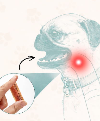 SafeSnack – aktiveringsleksak & tuggskydd i ett