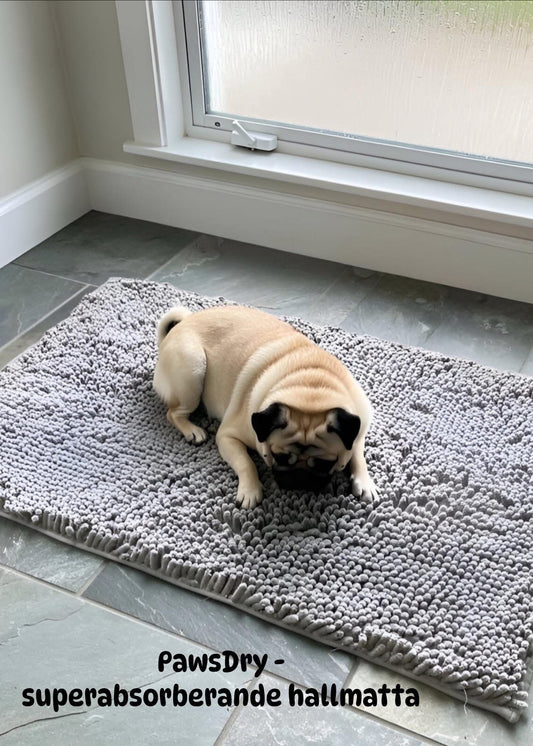 PawsDry™ – Superabsorberande Hallmatta för Våta & Smutsiga Tassar