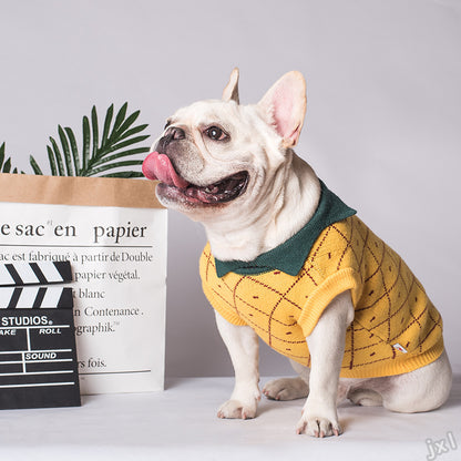 Gullig hundtröja - mjuk, varm och med extra charm